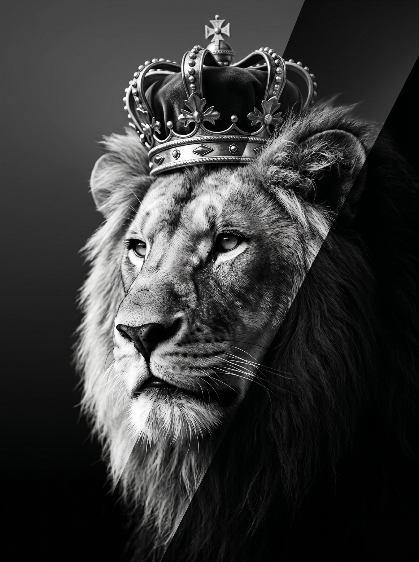Crowned lion concept
